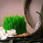 نرم‌ نرمک می رسد اینک بهار / فریدون مشیری